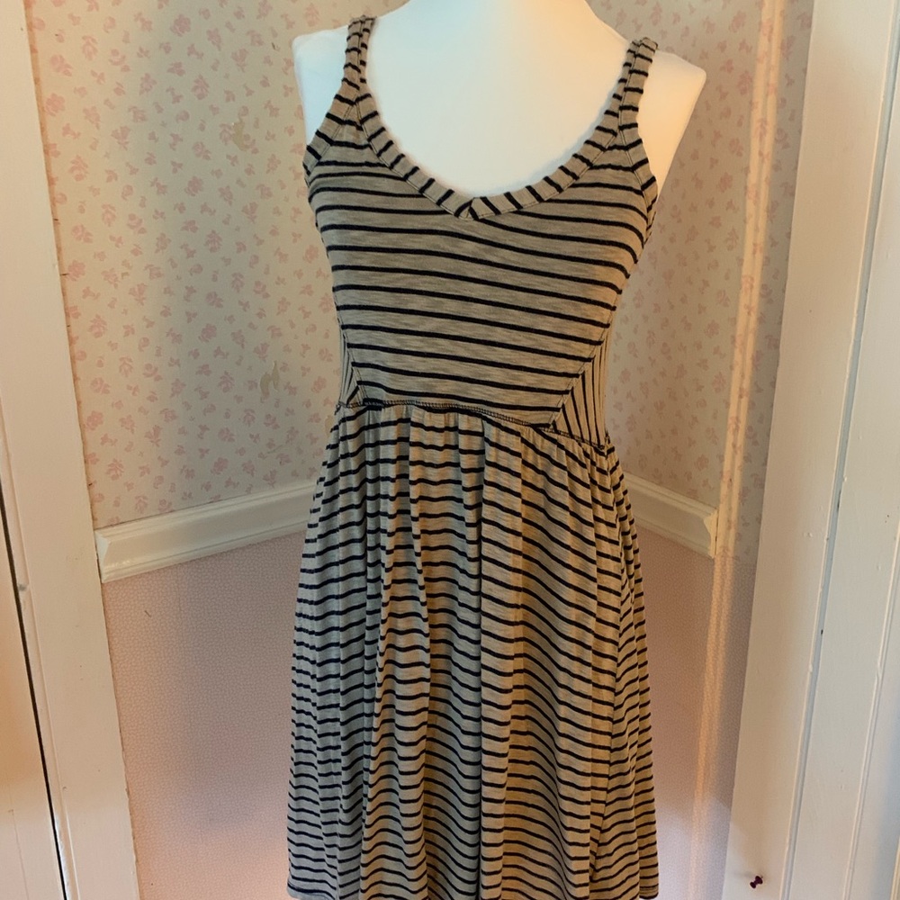 SPLENDID day dress